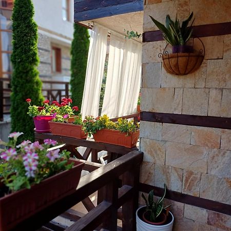 Mila Vip Apartment Bansko Eksteriør billede
