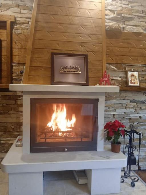 Mila Vip Apartment Bansko Eksteriør billede
