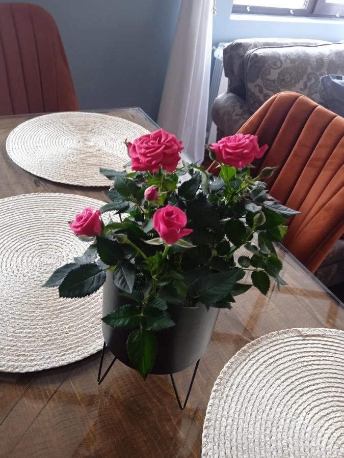 Mila Vip Apartment Bansko Eksteriør billede